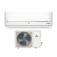 کولر گازی 30/000 ایوولی EVooLi شرکتی