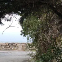 ویلا ساحلی پلاک ۱ ۲ خواب|اجارهٔ کوتاه‌مدت ویلا و باغ|تنکابن, |دیوار