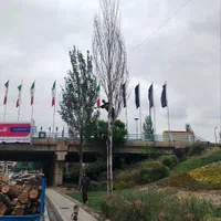 هرس قطع درخت برش درخت هرس خریدار چوب|خدمات باغبانی و درختکاری|تهران, ارم|دیوار