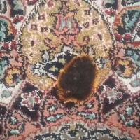 تعمیر تعمیرات.روفو .رفو انواع فرش ماشینی و دستی|خدمات پیشه و مهارت|اصفهان, باتون|دیوار