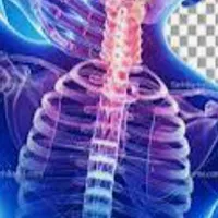 فیزیوتراپی کاردرمانی فوق تخصصی سکته در منزل