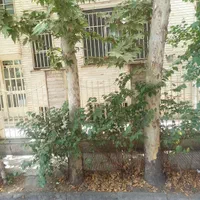 ۴۰۰مترملک با۵۵۰ متربنا(مسکونی اداری)اردیبهشت شمالی|اجارهٔ خانه و ویلا|تهران, تهرانپارس غربی|دیوار