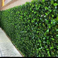 چمن فنسی تخفیف ویژه