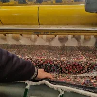 قالیشویی تابان شستشوی ضمانتی|خدمات نظافت|زاهدان, |دیوار