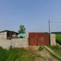 زمین ۶۵۰۰متری/با مجوز دامداری