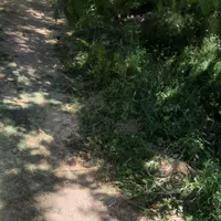 اجاره روزانه خانه ویلای باغ در اراک|اجارهٔ کوتاهمدت ویلا و باغ|اراک, |دیوار