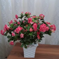 گلدان