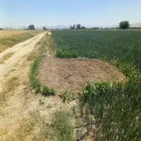 فروش ویژه انواع زمین کشاورزی در نقده و محمدیار