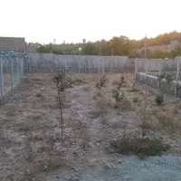 فروش زمین کوشک زر|فروش زمین و ملک کلنگی|هشتگرد, کوشک زر|دیوار