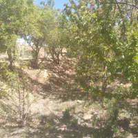 فروش زمین ۶۰۰ متری محدود پل زمانخان روستایی شوراب|فروش زمین و ملک کلنگی|اصفهان, آزادگان|دیوار