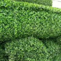 جشنواره فروروش تابستانه چمن مصنوعی|خدمات باغبانی و درختکاری|اصفهان, گلستان|دیوار