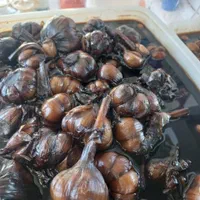 لیست انواع ترشی عمده|عمده‌فروشی|شیراز, شهرک ولیعصر|دیوار