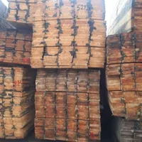 تخته بنایی روسی کیفیت بالا|ابزارآلات|خرمشهر, |دیوار