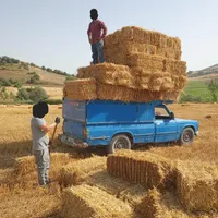 حمل بار با نیسان وانت