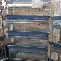 قفس مرغ و بلدرچین