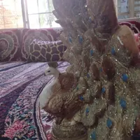 مجسمه ی طاووس|مجسمه، تندیس، ماکت|مشهد, پنجتن|دیوار