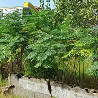 تهاتر یا فروش ۳۰۰ متر زمین مسکونی با خودرو|فروش زمین و ملک کلنگی|بندر انزلی, جفرود پایین|دیوار