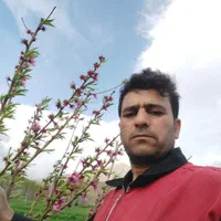 باغبانی میوه چینی درختان اجرای  انواع فنس و بلوک|خدمات باغبانی و درختکاری|دورود, |دیوار