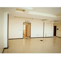 نقاشی / نقاشی ساختمان/ رنگ آمیزی/ بازسازی|خدمات پیشه و مهارت|رشت, گلسار|دیوار