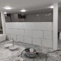 گچکار گچ کاری تخریب شومینه کناف کاری|خدمات پیشه و مهارت|تهران, تهرانپارس غربی|دیوار