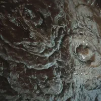 رب آلوچه ملس امساله