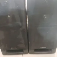 باند خونگی