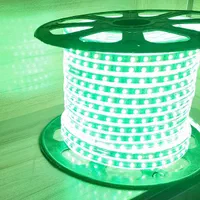 ریسه شلنگی RGB( هفت رنگ) استریپ با ضمانت|ریسه و چراغ تزئینی|قم, نیروگاه|دیوار