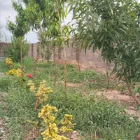 فروش زمین ۴۳۶ متری در سهیلیه زعفرانیه زکی اباد.|فروش زمین و ملک کلنگی|کرج, گلشهر|دیوار