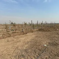 ۲۰۰مترزمین(سندتکبرگ)سهیلیه.زعفرانیه.تهراندشت|فروش زمین و ملک کلنگی|کرج, ساماندهی|دیوار