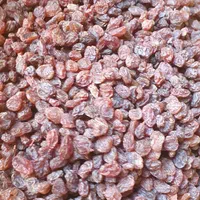کشمش بیدانه ملایر .شیراز .تاکستان