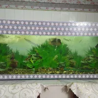 آکواریوم شیشه ای ابعاد ۱۶۶ در ۶۰ در ۳۵