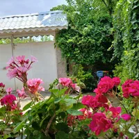 ویلادربست باتراس وحیاط زیبا،ویک سوییت ۵۰ متری|اجارهٔ کوتاه‌مدت ویلا و باغ|شفت, |دیوار