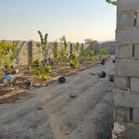 فروش باغچه نقلی ۱۶۰ متری