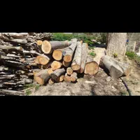 خریدار چوب|خدمات باغبانی و درختکاری|سنندج, |دیوار