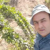 فروش ۱۲۰۰متری کشاورزی بندرشرفخانه