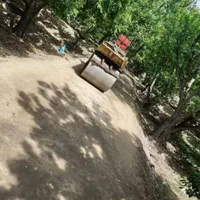 اجاره غلطک ۲تنی اجاره برشکاری کاتر کمپکتور بنزینی