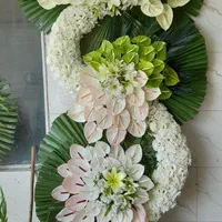 گلکده نرگس تاج گل|گل و گیاه طبیعی|تهران, بازار|دیوار