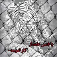 پایه فنس   (بتنی وآهنی)و فنس حصاری (گابیون)|خدمات باغبانی و درختکاری|مشهد, خین عرب|دیوار