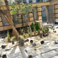 باغبانی سمپاشی هرسکاری کودسم پاشی سوسک سراسرتهران|خدمات باغبانی و درختکاری|تهران, تجریش|دیوار