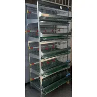 قفس جوجه یکروزه مرغ کبک کبوتر مرغ زینتی|لوازم جانبی حیوانات|تهران, خاوران|دیوار