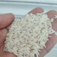 برنج هاشمی برنج هاشمی|خوردنی و آشامیدنی|کرج, فاز ۳ گوهردشت|دیوار