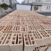 آجر سفال تیغه امیری|عمده‌فروشی|قرچک, مهدیه|دیوار