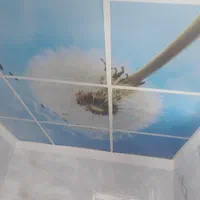 طرح اجرای کناف پی وی سی تایل با بهترین کیفیت قیمت|خدمات پیشه و مهارت|بومهن, |دیوار