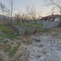 فروش زمین ۲۵۰ متری محصور آزارستانکی لاهیجان|فروش زمین و ملک کلنگی|لاهیجان, آهندان|دیوار