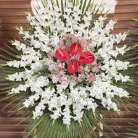 مداح خوش صدای بختیاری ، فارسی و ترکی|خدمات پذیرایی، مراسم|شاهین‌شهر, شهرک میلاد|دیوار