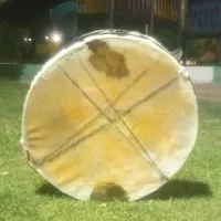طبل با پوست گاو