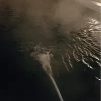 تصفیه گرمایش استخر و جکوزی|مصالح و تجهیزات ساختمان|تهران, تهرانسر شرقی|دیوار