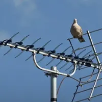 نصاب آنتن تنظیم راه‌اندازی TV نصب به دیوار دیجیتال|خدمات پیشه و مهارت|بندرعباس, |دیوار