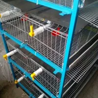 قفس مرغ،بلدرچین، کبک ،لاری|لوازم جانبی حیوانات|تهران, توحید|دیوار