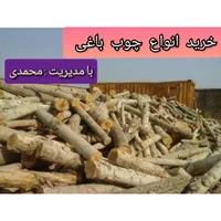 خرید و برش انواع چوب باغی